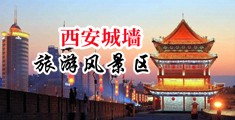 橾逼网站中国陕西-西安城墙旅游风景区