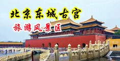 吃奶色中国北京-东城古宫旅游风景区